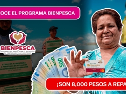 ¿ERES PESCADOR? ¡NO PIERDAS TUS 8,000 PESOS! AQUÍ LOS REQUISITOS DEL PROGRAMA
