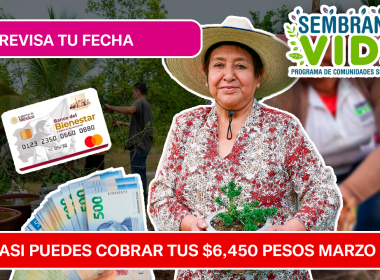 SEMBRANDO VIDA: SON $6,450 PESOS ESTE MARZO DE 2026 POR TU CAMPO