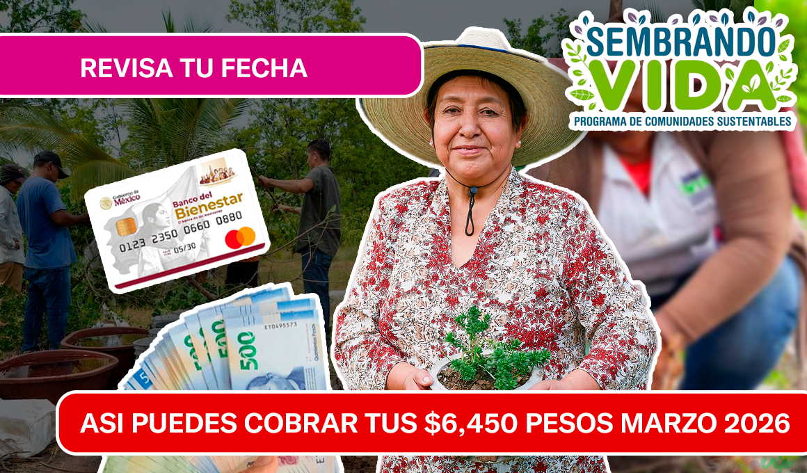 SEMBRANDO VIDA: SON $6,450 PESOS ESTE MARZO DE 2026 POR TU CAMPO